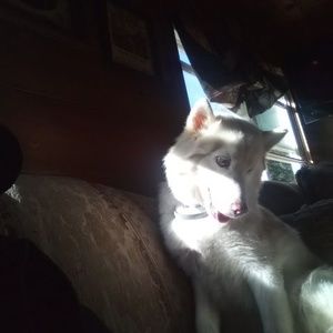 Meet your Posher, Michael